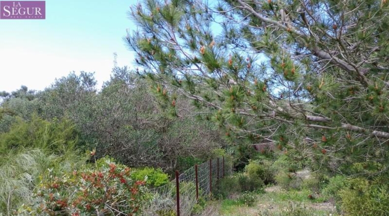 Кадис - Barbate - 1050m2