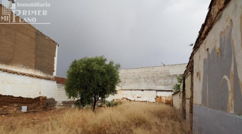 Ciudad Real - Tomelloso - 405m2