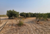 Casa de camp amb terreny en venda a la España, Fuente Álamo, ref.: TR325933 foto