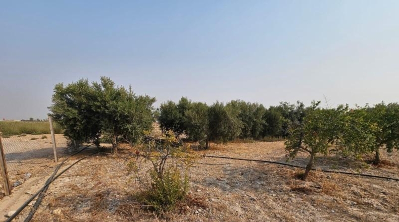 Murcia - Fuente Álamo de Murcia - 1000m2