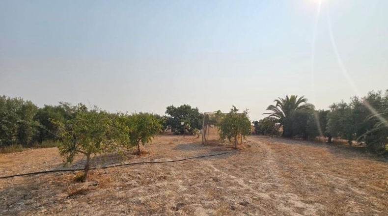 Murcia - Fuente Álamo de Murcia - 1000m2