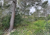 Sòl urbà en venda a la España, Mont-roig del Camp, ref.: TR341393 foto