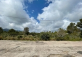 Sòl urbà en venda a la España, Mont-roig del Camp, ref.: TR341393 foto