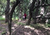 Non-developable land for sale on España, Estepona, ref: TR263827 photo