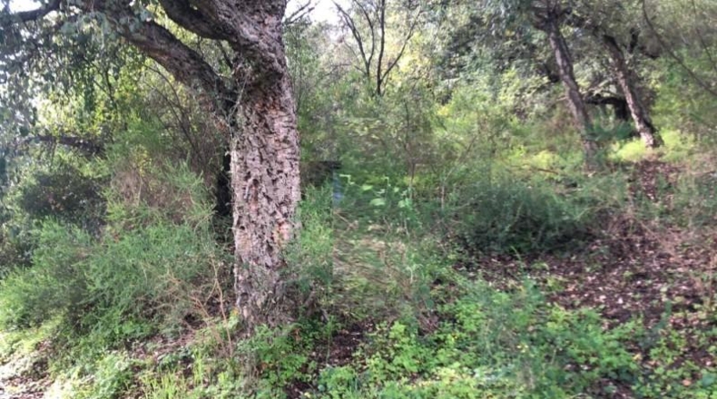Málaga - Estepona - 3200m2