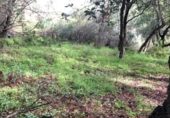 Non-developable land for sale on España, Estepona, ref: TR263827 photo