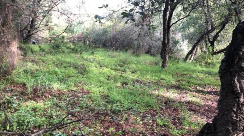Málaga - Estepona - 3200m2