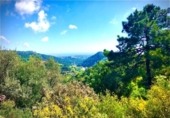 Non-developable land for sale on España, Estepona, ref: TR263827 photo