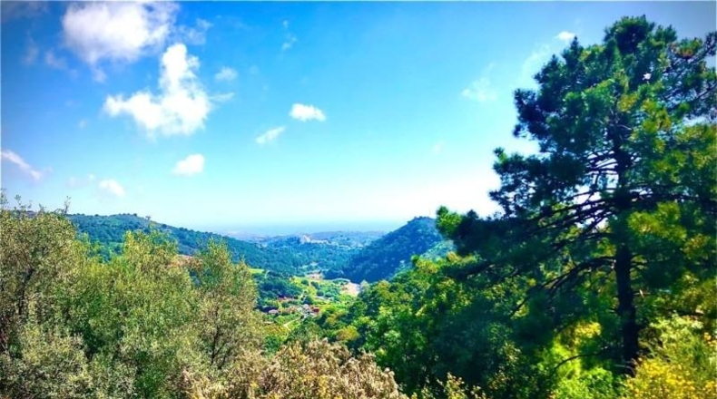 Málaga - Estepona - 3200m2