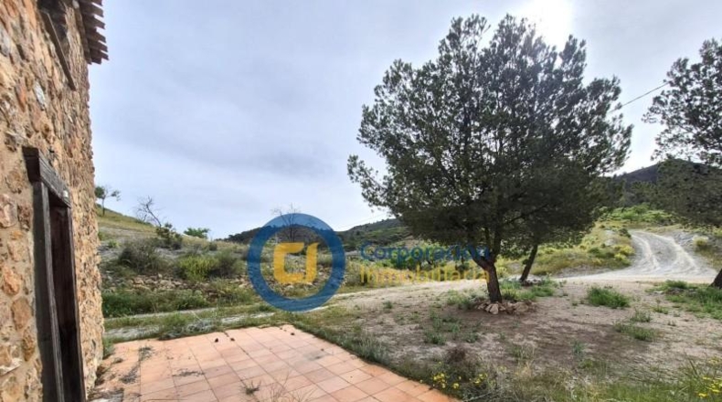 Jaen - Arroyo de Quebrá - 78560m2