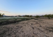 Finca rústica en venda a la España, Asp, ref.: TR288354 foto