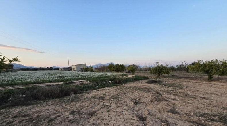 Alicante - Aspe - 4750m2