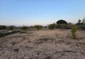 Finca rústica en venda a la España, Asp, ref.: TR288354 foto