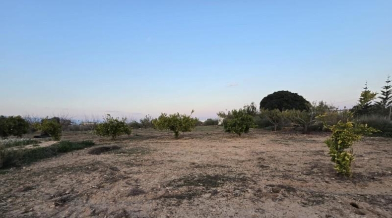 Alicante - Aspe - 4750m2