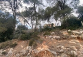 Sòl urbà en venda a la España, Castellar del Vallès, ref.: TR117477 foto