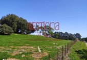 Земля на продажу у города Arnuero Фото