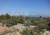 Casa de campo con terreno en venta en la España, l'Ametlla de Mar, ref: TR297049 foto