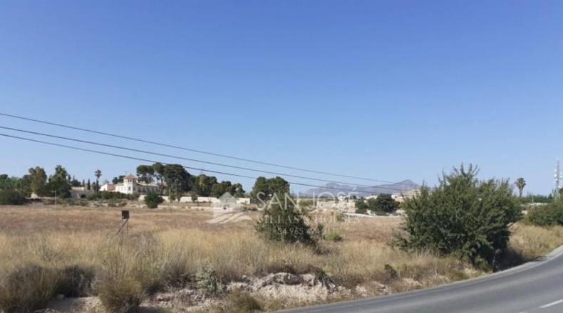 Alicante - Novelda - 36263m2