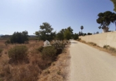 Non-developable land for sale on España, Novelda, ref: TR115384 photo