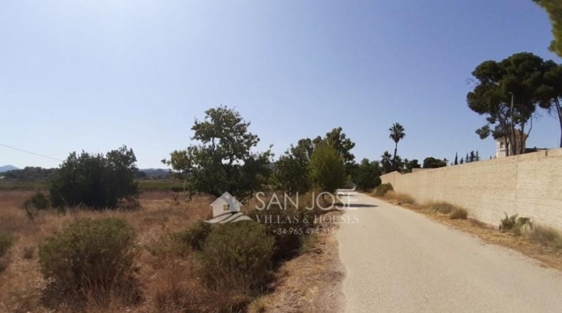 Alicante - Novelda - 36263m2