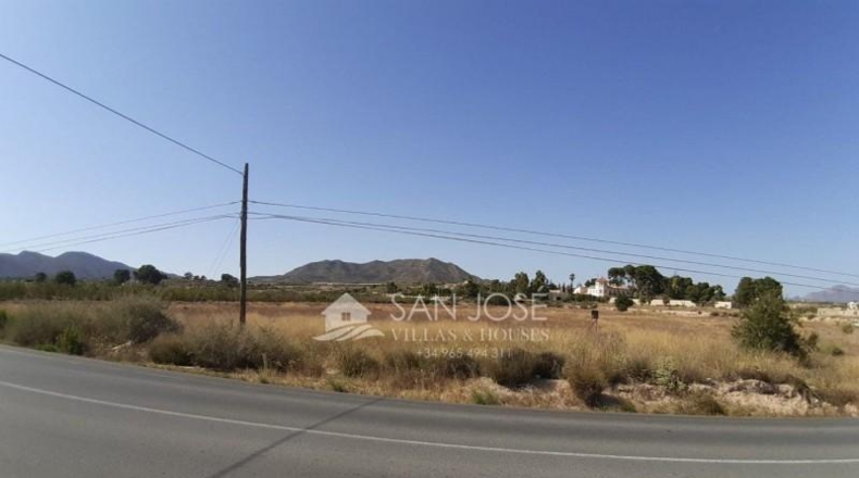 Alicante - Novelda - 36263m2