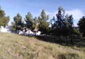 Terreny no urbanitzable en venda a la España, Almansa, ref.: TR116003 foto