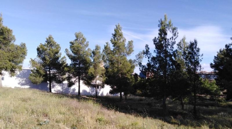 Albacete - Almansa - 402m2