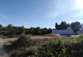 Terreny no urbanitzable en venda a la España, Almansa, ref.: TR116003 foto