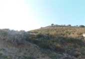 Non-developable land for sale on España, Coín, ref: TR116039 photo