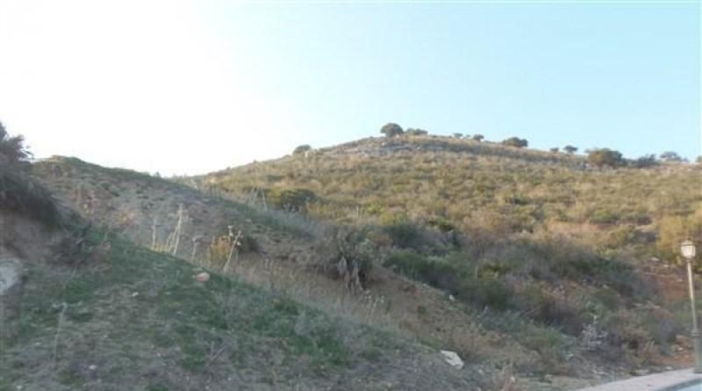 Málaga - Coín - 600m2
