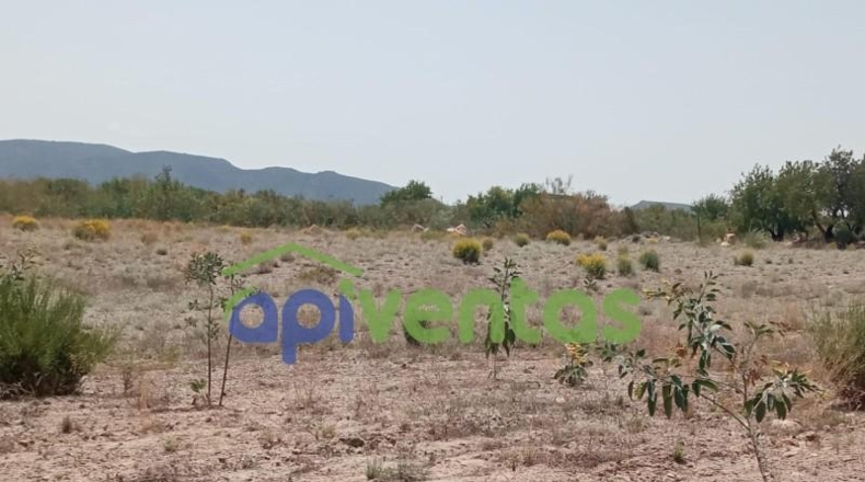Múrcia - Puerto Lumbreras - 52077m2