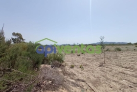 Puerto Lumbreras 52077&nbsp;m²