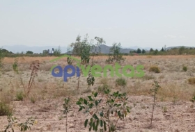 Puerto Lumbreras 52077&nbsp;m²