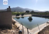 Terreno con Almacén en venta en la España, Abarán, ref: TR301061 foto