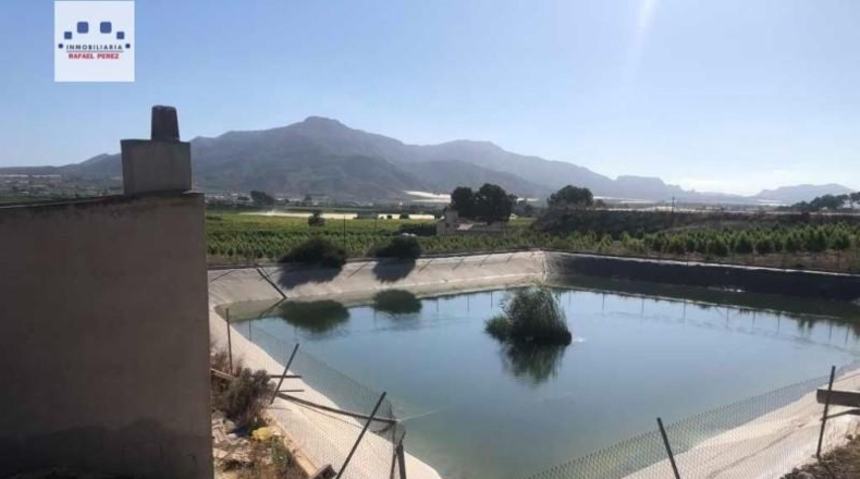Murcia - Abarán - 17600m2