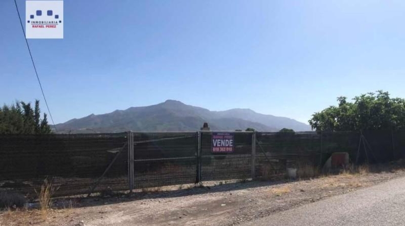 Murcia - Abarán - 17600m2