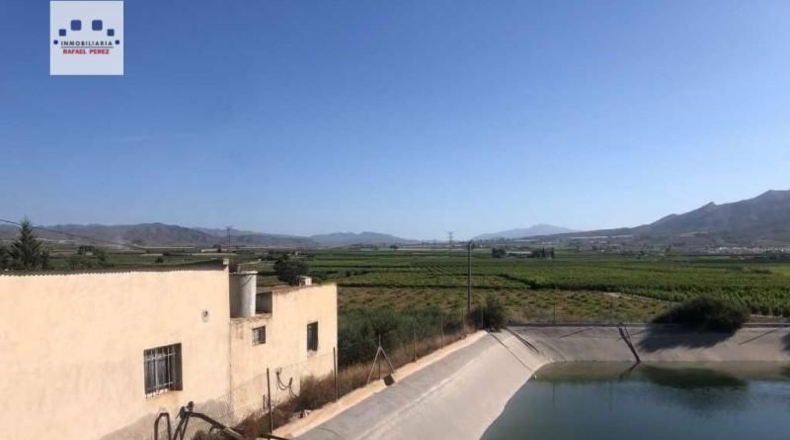 Murcia - Abarán - 17600m2
