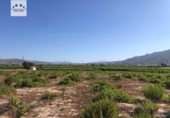 Terreno con Almacén en venta en la España, Abarán, ref: TR301061 foto