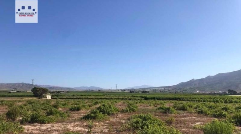 Murcia - Abarán - 17600m2