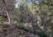 Sòl urbà en venda a la España, Benissa, ref.: TR112705 foto