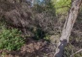 Sòl urbà en venda a la España, Benissa, ref.: TR112705 foto