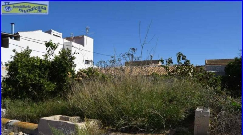 Alicante - Oriola - 1000m2