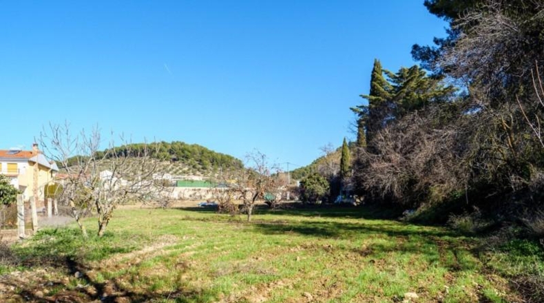 Jaén - Alcaudete - 3273m2