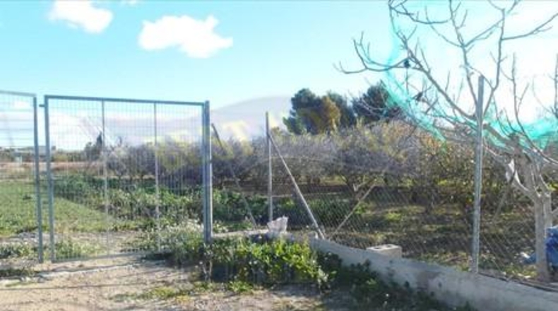 Múrcia - Molina de Segura - 2301m2