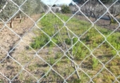 Terreno no urbanizable en venta en la España, Molina de Segura, ref: TR114512 foto
