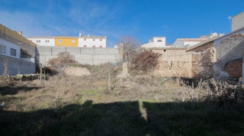 Granada - Guadahortuna - 708m2