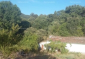 Non-developable land for sale on España, Jabugo, ref: TR143536 photo