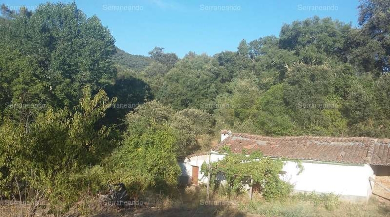 Huelva - Jabugo - 10697m2