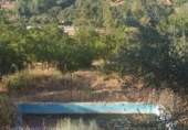 Non-developable land for sale on España, Jabugo, ref: TR143536 photo