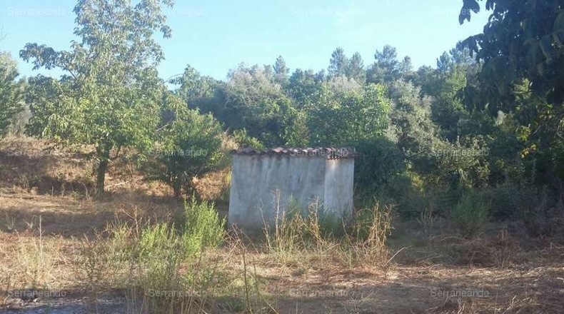 Huelva - Jabugo - 10697m2